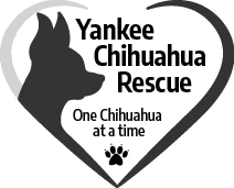 Yankee Chihuahua Rescue logo