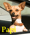Papi