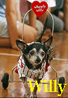 Wheely Willy