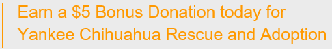 iGive bonus donation