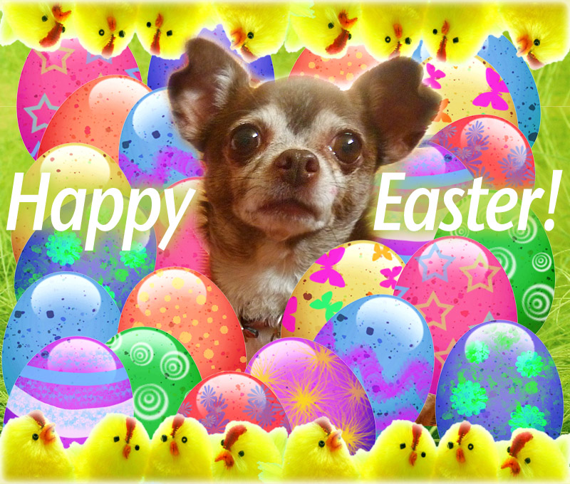 Easter Egg Chi