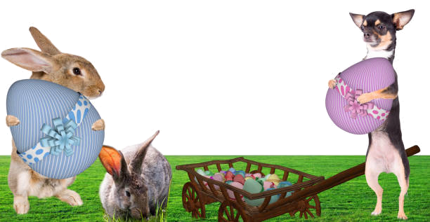 Easter Eggs