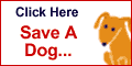 Save a Dog via iGive